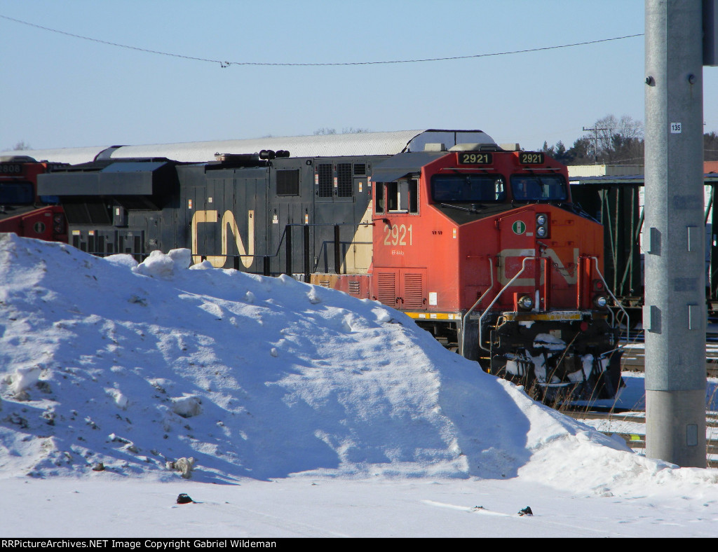 CN 2921